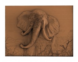 слон К
